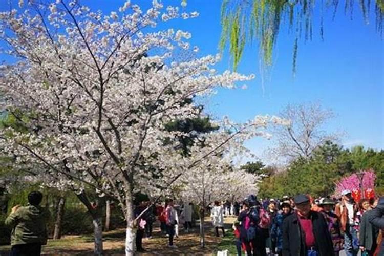 北京清明节去哪里玩