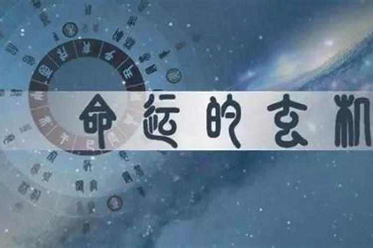 2022年虎什么颜色旺财