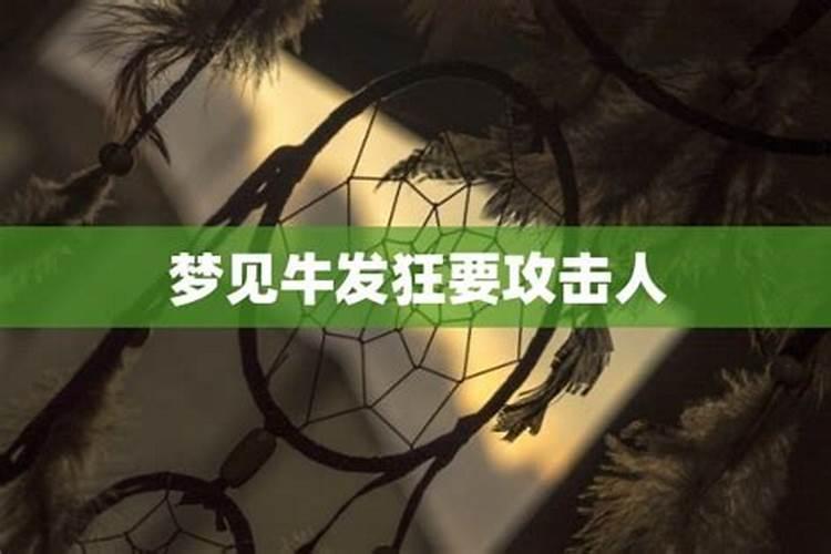 梦到牛发狂攻击自己