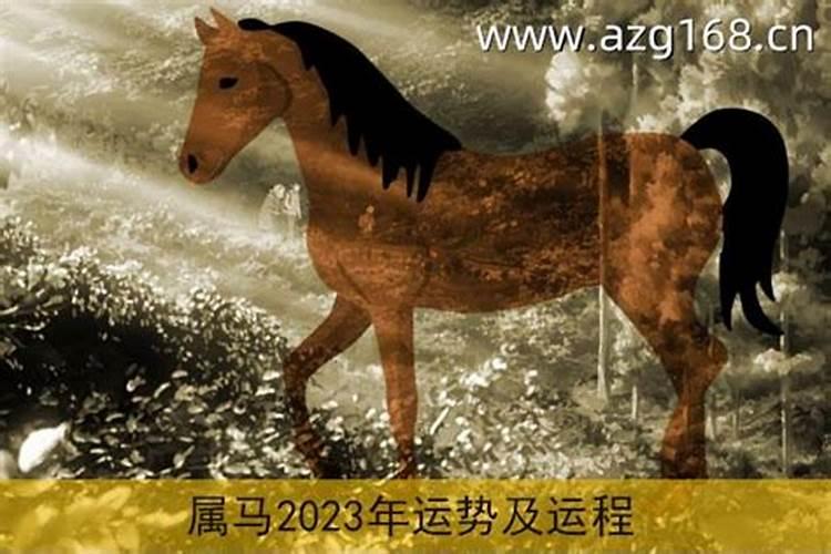 2024年生的宝宝属什么生肖好