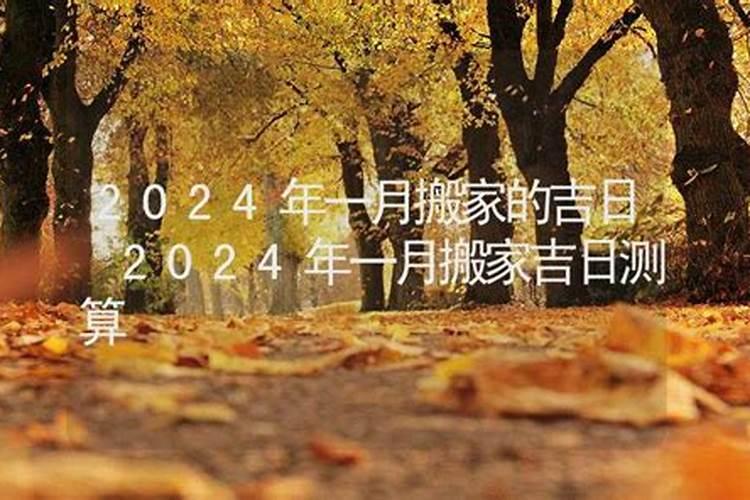 71年猪在2021年的每月运气