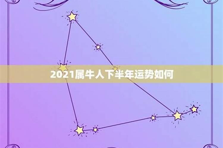 属牛人下半年运势2021