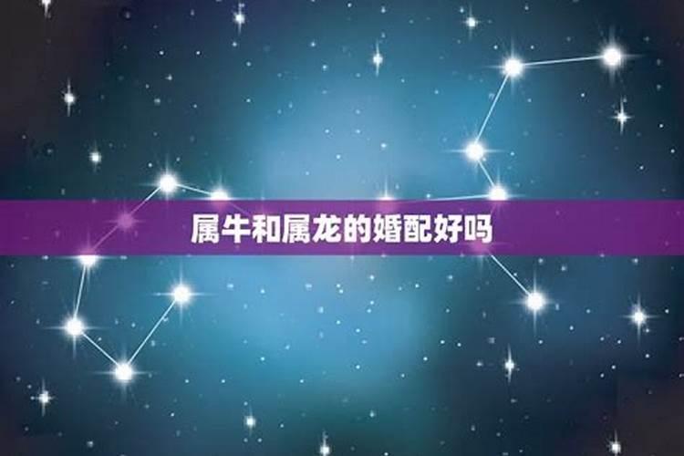 2023香港元宵节的活动有哪些