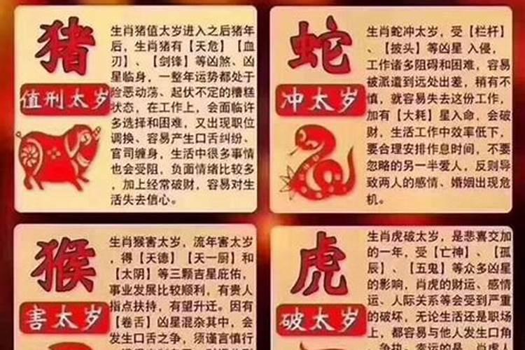 属猪的1984年是什么命