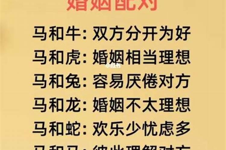 属马对感情是什么态度