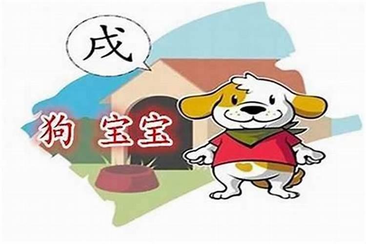 狗年各月份生宝宝命运