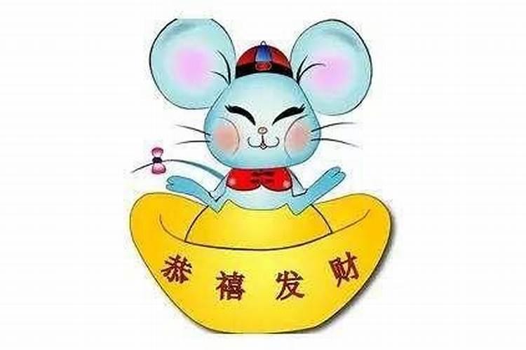 属鼠今年和什么相冲