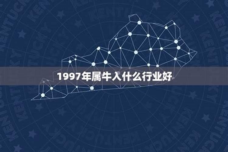 97年属牛做什么行业好