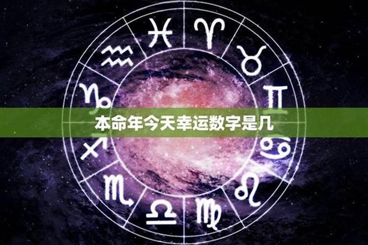 本命年今天的幸运数字