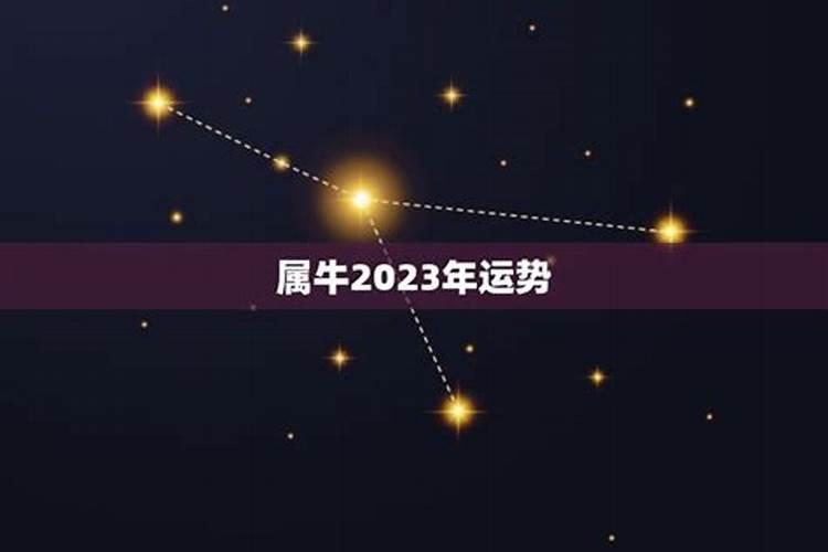 2023出生属牛运势及运程如何