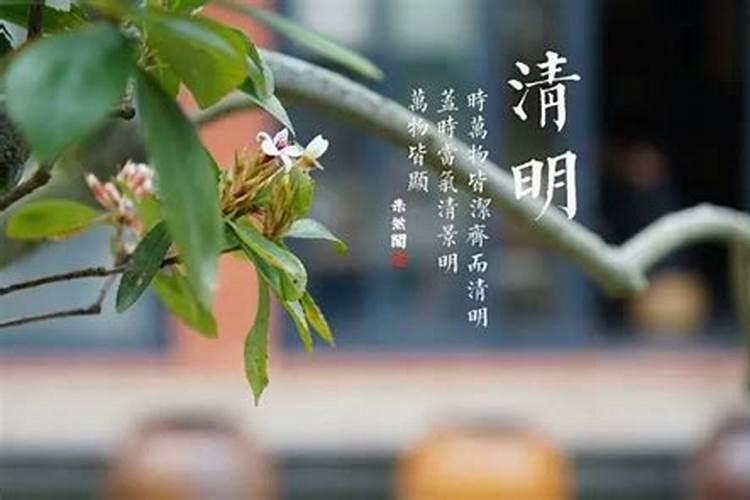 清明节能挂清吗