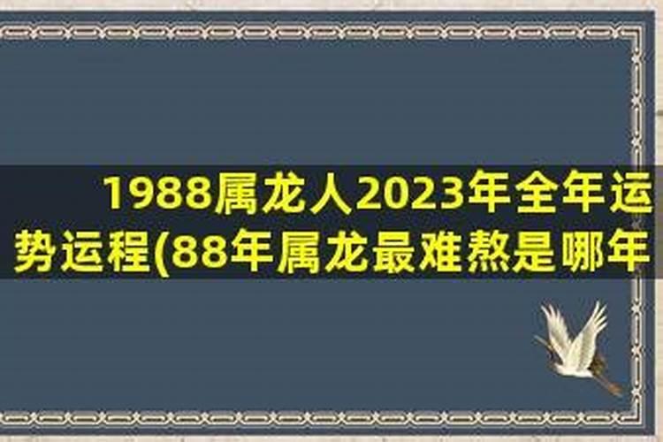 1988龙今年运势如何