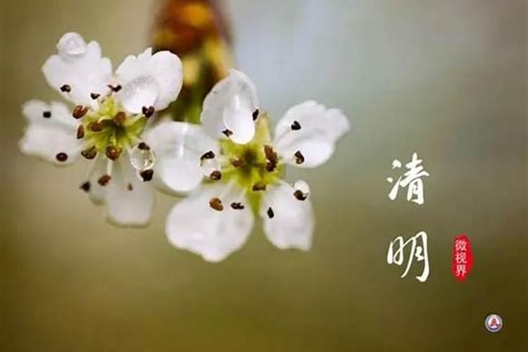 清明节前多久可以挂清明