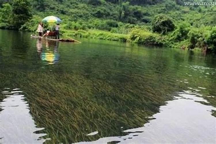 梦见河水很大预示什么呢