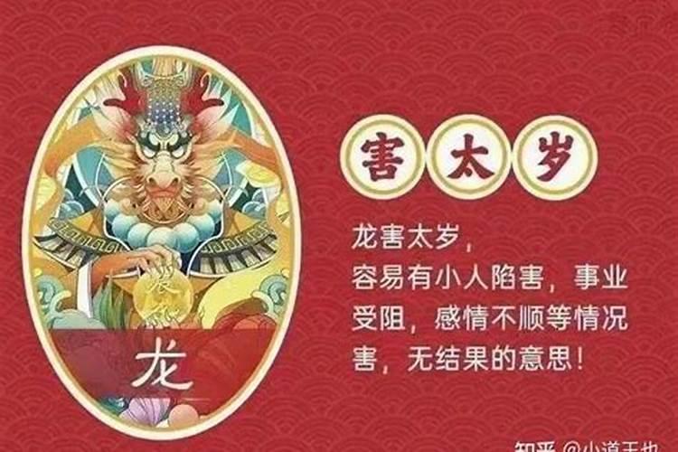 2023年属兔人犯太岁怎么化解