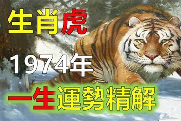 1974年属虎人2021年的运程大全与破解