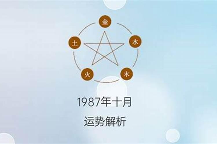 1995属相猪2023年运势