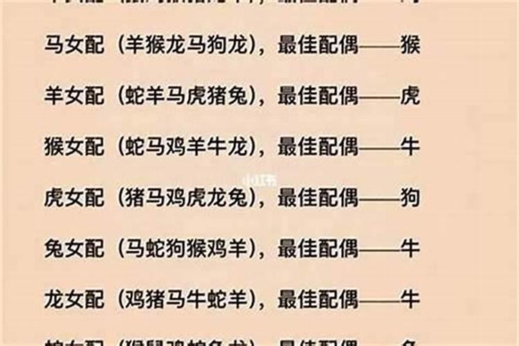 生肖配对绕口令