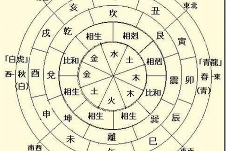 八字排盘怎么看时柱