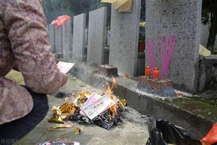 清明节签到在哪里今日头条