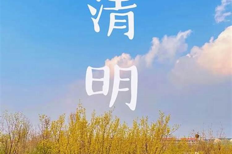 清明杨柳绿是在几月