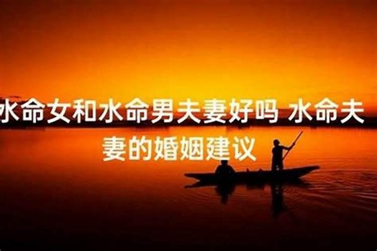 太岁要怎么化解2024猪