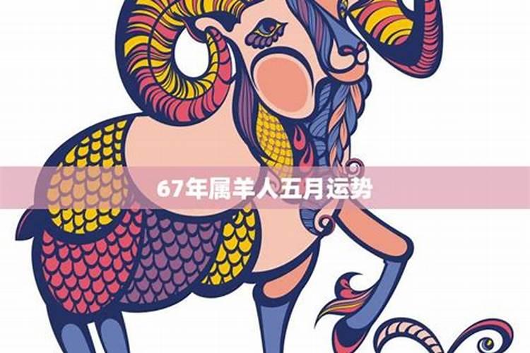 67年属羊人的运势如何