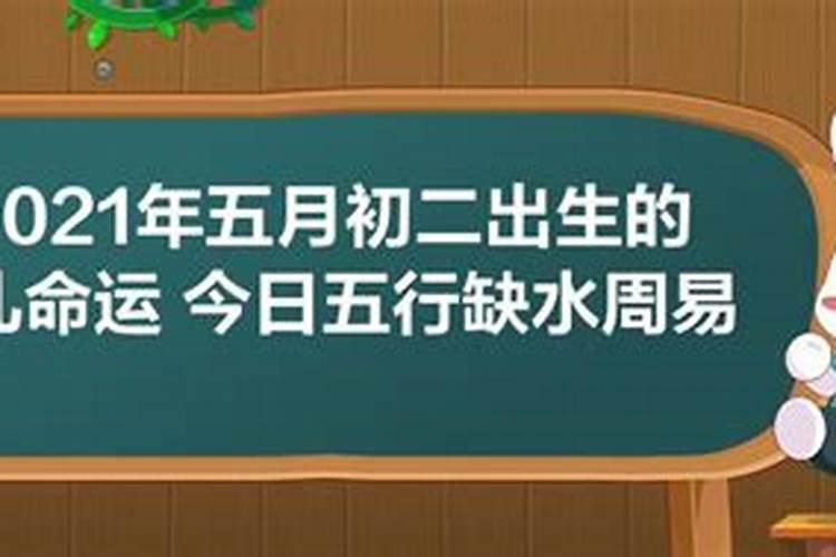 2023正月初二出生