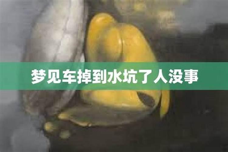 梦见汽车掉水里去了