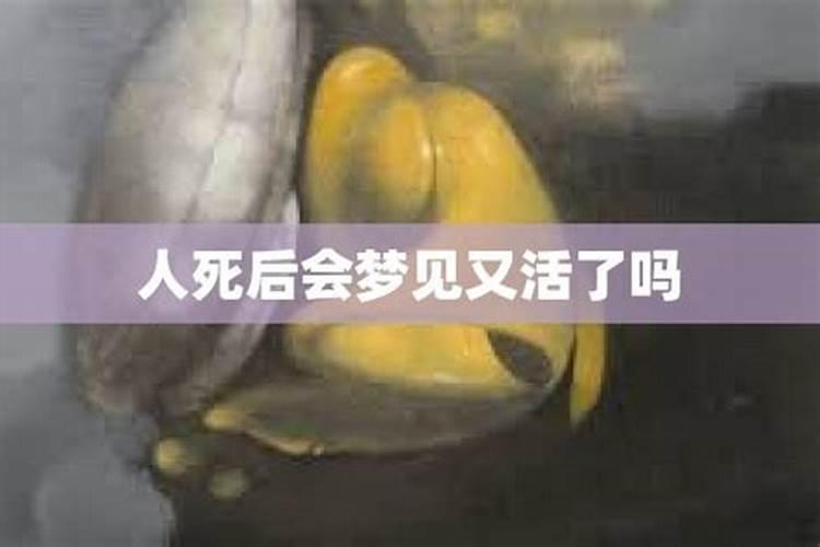 梦见人死后又活过来了好不好