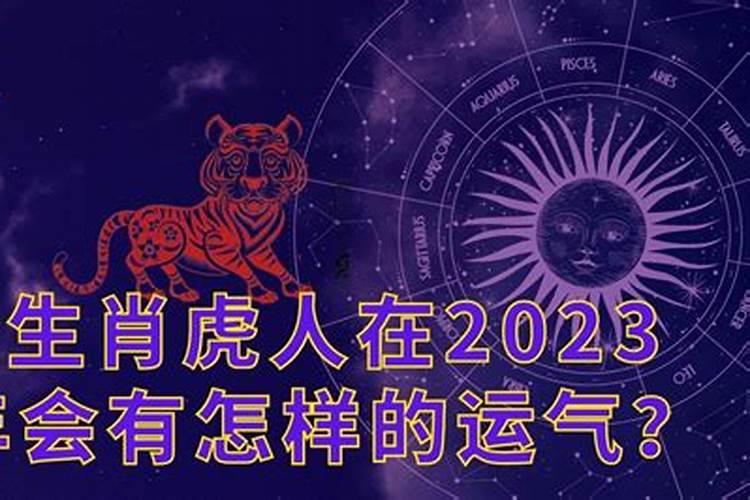 羊生肖2023年运程如何样