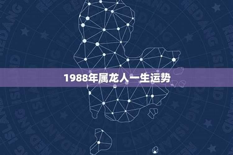 1988年一生运势如何