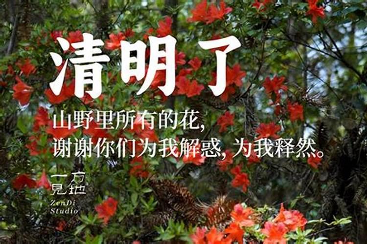 清明节好点了