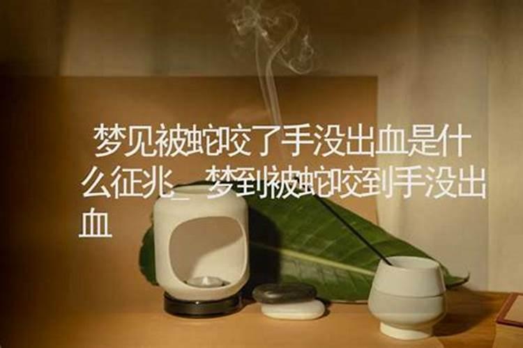 梦见儿子被蛇咬了并且出血了