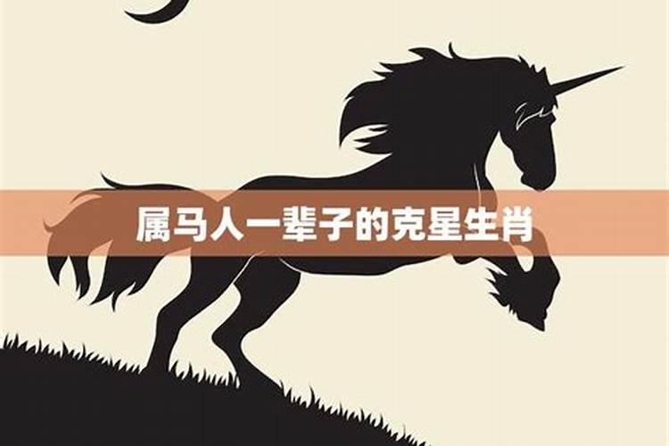 猪年蛇冲太岁应该佩戴什么首饰