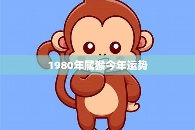 1980属猴今年的运势