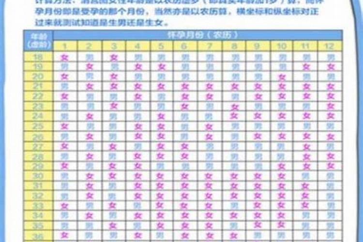 夏至日各地太阳视运动