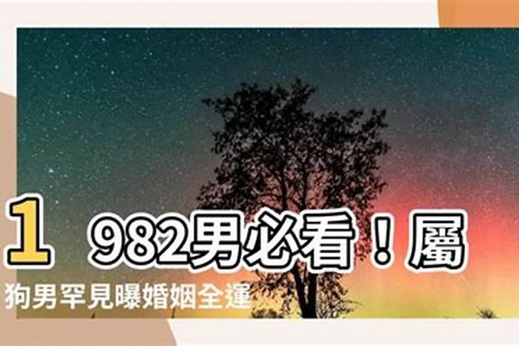 1982年男的婚姻运势如何