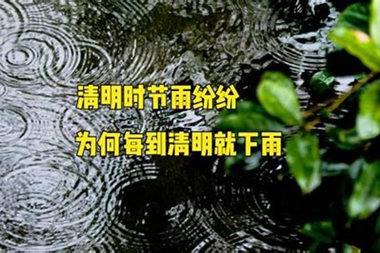 为什么每年清明前后都会下雨