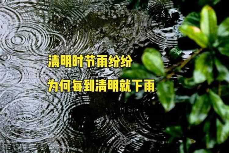 为什么每年清明前后都会下雨