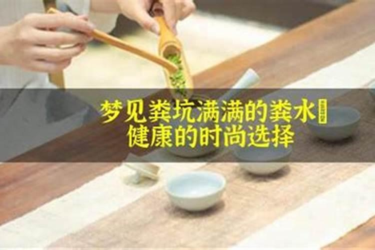 梦见粪坑满满的