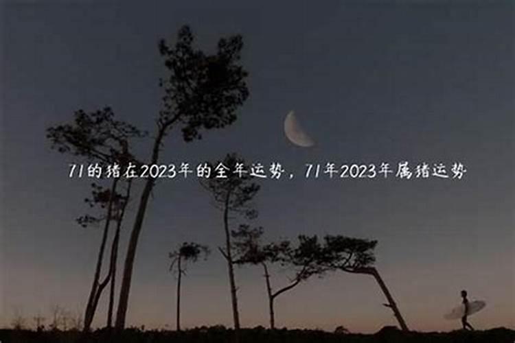 今年属蛇的运势怎么样2021年