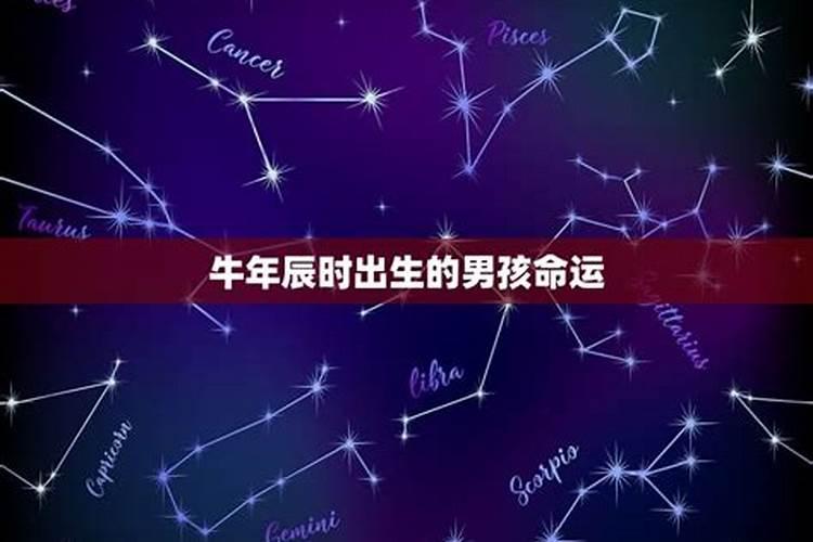 属牛夜里11点