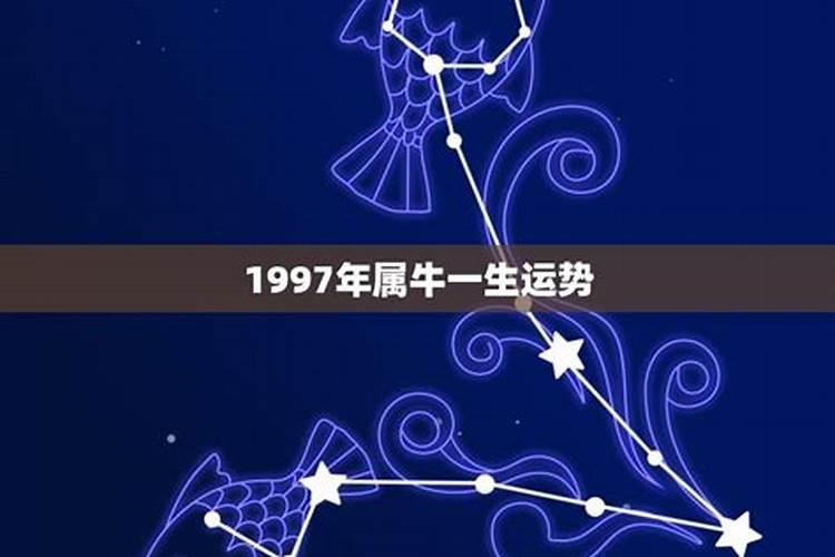 1997年出生运势运程如何