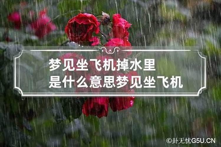 梦到跟男朋友坐飞机下雨是什么意思