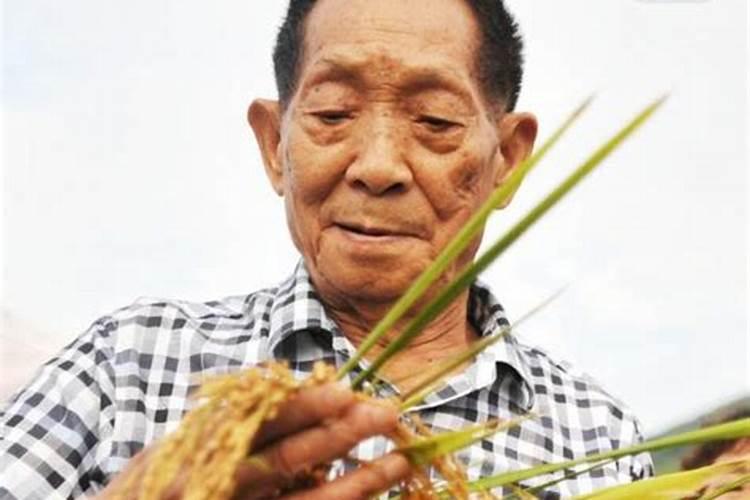 袁隆平是中元节出生的吗