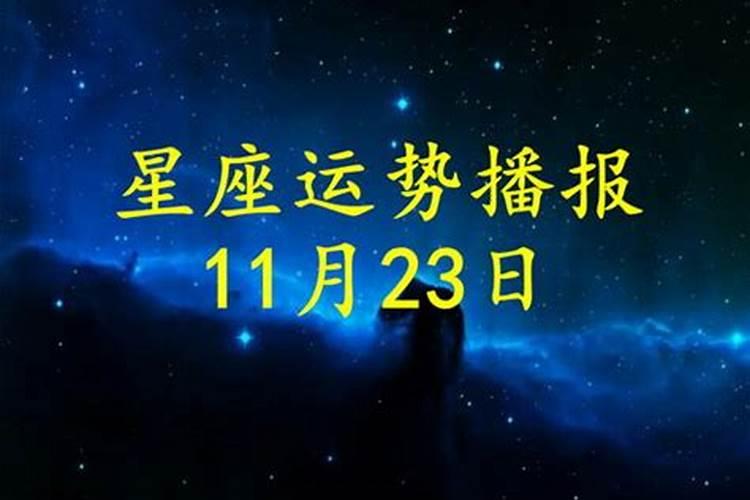 天枰2023年运势11月