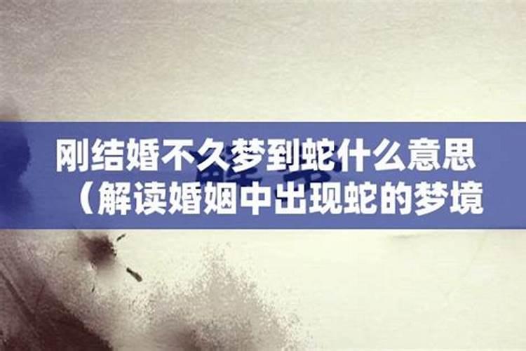 结婚女人梦见蛇啥意思啊