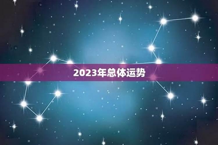 2023年出生的人的运程