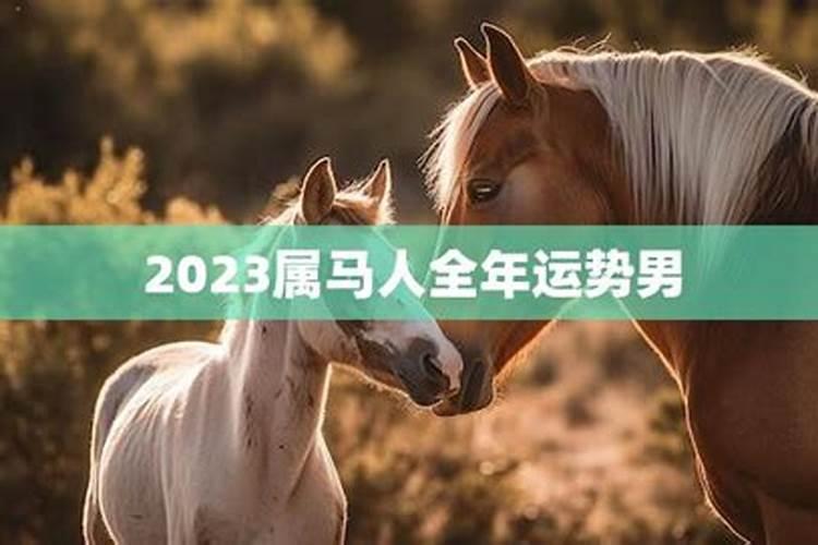 2023属马人全年运势男